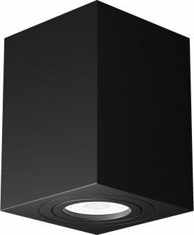 Накладной потолочный светильник Atom GU10 1x50Вт Maytoni Technical C017CL-01B