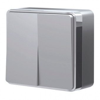 Выключатель двухклавишный Gallant (серебряный) Werkel W5020006 (a052769)