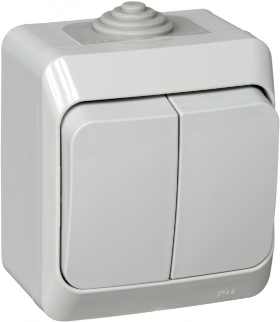Выключатель двухклавишный (серый) Systeme Electric BA10-042C Выключатель двухклавишный (серый) Systeme Electric BA10-042C