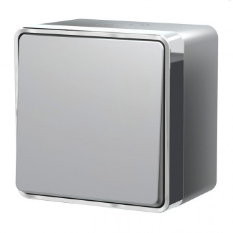 Выключатель одноклавишный влагозащищенный Gallant (серебряный) Werkel W5010206 (a052767)