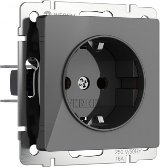 Розетка с заземлением и шторками (графит акрил) Werkel W1171144 (a064091)