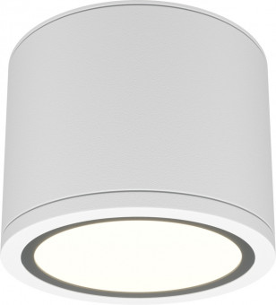 Накладной потолочный светильник влагостойкий Maytoni Rendo C095CL-GX53-W