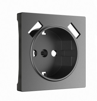 Накладка для розетки USB (графит матовый) Werkel W1179564 (a063113)