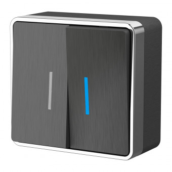 Выключатель двухклавишный с подсветкой Gallant (графит рифленый) Werkel W5020104 (a051340)