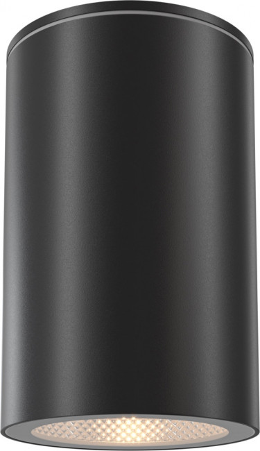 Потолочный светильник уличный IP54 Maytoni Roll O307CL-01B
