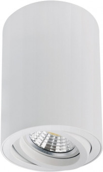 Накладной потолочный светильник Arte Lamp Sentry A1566PL-1WH